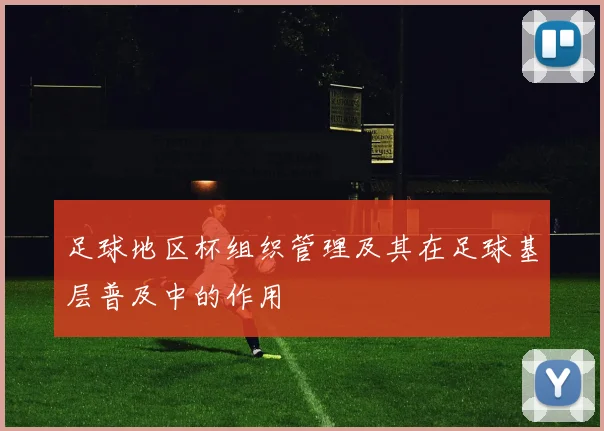 足球地区杯组织管理及其在足球基层普及中的作用
