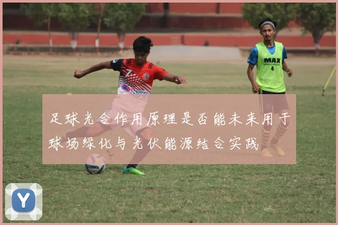 足球光合作用原理是否能未来用于球场绿化与光伏能源结合实践